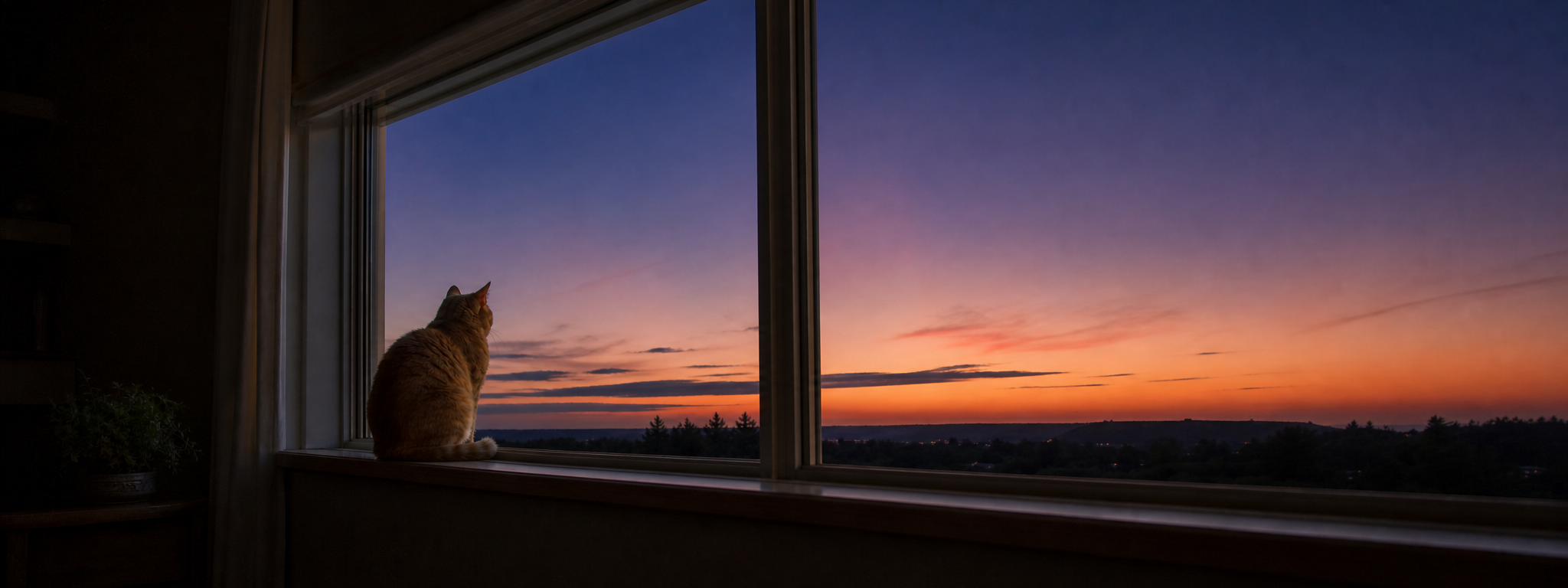 An orange cat sits on a windowsill, looking out at a twilight sky shaded blue, purple, and orange.